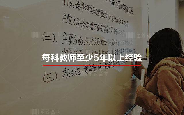 专业艺考教师团队