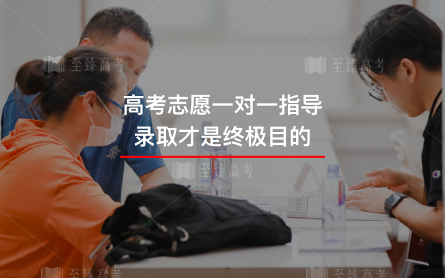 武汉艺考文化课高分率