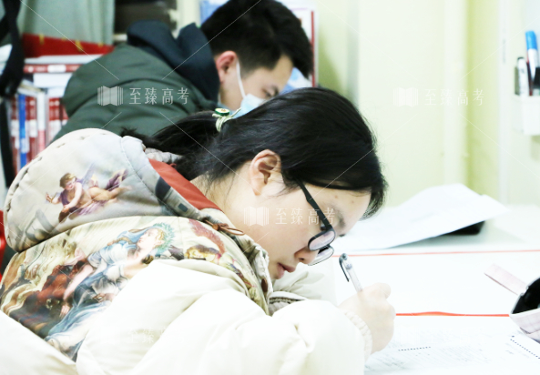 武汉艺考生文化课培训 高分学员